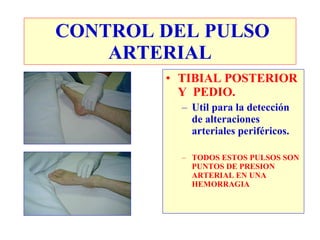 CONTROL DEL PULSO
    ARTERIAL
        • TIBIAL POSTERIOR
          Y PEDIO.
          – Util para la detección
            de alteraciones
            arteriales periféricos.

          – TODOS ESTOS PULSOS SON
            PUNTOS DE PRESION
            ARTERIAL EN UNA
            HEMORRAGIA
 