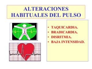 ALTERACIONES
HABITUALES DEL PULSO

          •   TAQUICARDIA.
          •   BRADICARDIA.
          •   DISRITMIA.
          •   BAJA INTENSIDAD.
 