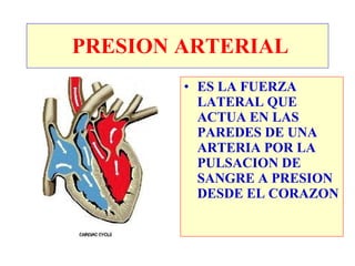 PRESION ARTERIAL
        • ES LA FUERZA
          LATERAL QUE
          ACTUA EN LAS
          PAREDES DE UNA
          ARTERIA POR LA
          PULSACION DE
          SANGRE A PRESION
          DESDE EL CORAZON
 