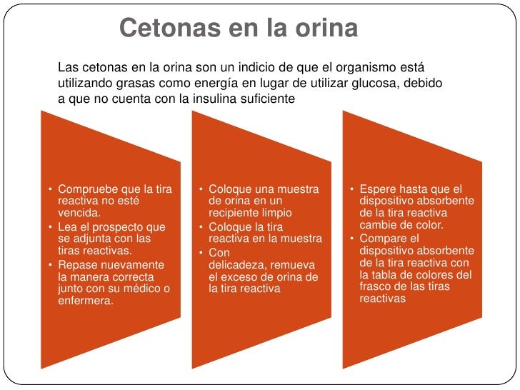 Signos Vitales