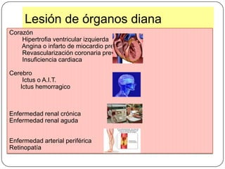  Perímetro abdominal.