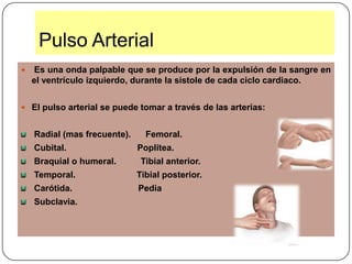  Glicemia, creatinina, acido úrico , perfil lipidico.