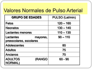  Sistemático de orina. 