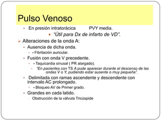 CaracterísticasFrecuencia.Ritmo.Amplitud.Tensión. Dureza. Simetría.