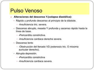 Variaciones del Pulso ArterialVariaciones Fisiológicas:  La frecuencia del pulso varia con : La edad.