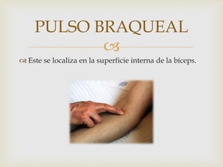 PULSO BRAQUEAL
           
 Este se localiza en la superficie interna de la bíceps.
 