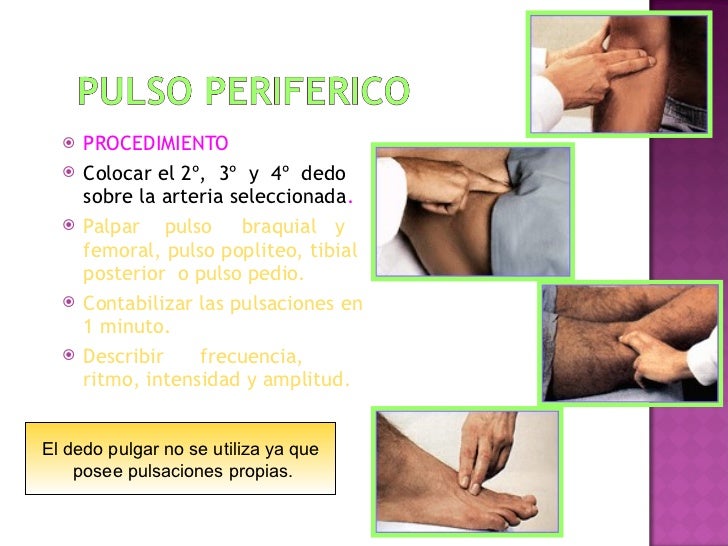 Signos vitales