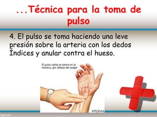 ...Técnica para la toma de
            pulso
4. El pulso se toma haciendo una leve
presión sobre la arteria con los dedos
Índices y anular contra el hueso.
 