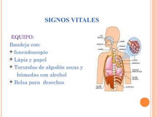 SIGNOS VITALES
EQUIPO:
Bandeja con:
 fonendoscopio
 Lápiz y papel
 Torundas de algodón secas y
húmedas con alcohol
 Bolsa para desechos

 