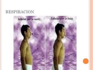 RESPIRACION

 