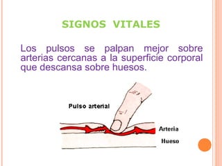SIGNOS VITALES
Los pulsos se palpan mejor sobre
arterias cercanas a la superficie corporal
que descansa sobre huesos.

 