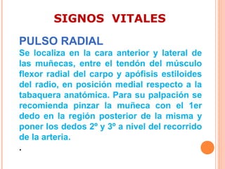 SIGNOS VITALES
PULSO RADIAL
Se localiza en la cara anterior y lateral de
las muñecas, entre el tendón del músculo
flexor radial del carpo y apófisis estiloides
del radio, en posición medial respecto a la
tabaquera anatómica. Para su palpación se
recomienda pinzar la muñeca con el 1er
dedo en la región posterior de la misma y
poner los dedos 2º y 3º a nivel del recorrido
de la arteria.
.

 