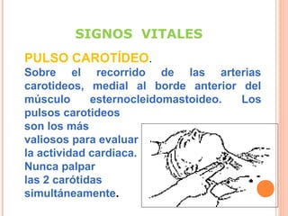 SIGNOS VITALES
PULSO CAROTÍDEO.
Sobre el recorrido de las arterias
carotideos, medial al borde anterior del
músculo
esternocleidomastoideo.
Los
pulsos carotideos
son los más
valiosos para evaluar
la actividad cardiaca.
Nunca palpar
las 2 carótidas
simultáneamente.

 