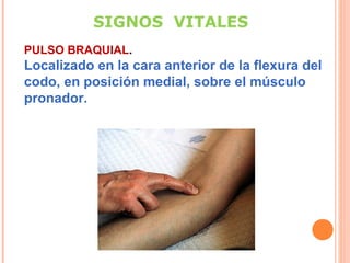 SIGNOS VITALES
PULSO BRAQUIAL.

Localizado en la cara anterior de la flexura del
codo, en posición medial, sobre el músculo
pronador.

 