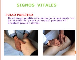 SIGNOS VITALES
PULSO POPLÍTEO.
En el hueco poplíteo. Se palpa en la cara posterior
de las rodillas, ya sea estando el paciente en
decúbito prono o dorsal.

 