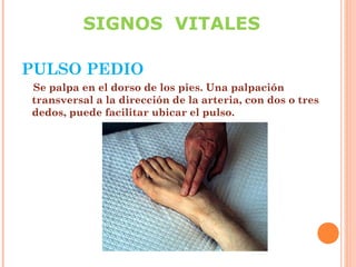 SIGNOS VITALES
PULSO PEDIO
Se palpa en el dorso de los pies. Una palpación
transversal a la dirección de la arteria, con dos o tres
dedos, puede facilitar ubicar el pulso.

 