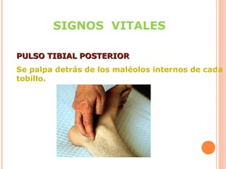SIGNOS VITALES
PULSO TIBIAL POSTERIOR
Se palpa detrás de los maléolos internos de cada
tobillo.

 