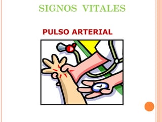 SIGNOS VITALES
PULSO ARTERIAL

 