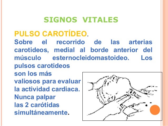 Signos vitales Signos vitales
