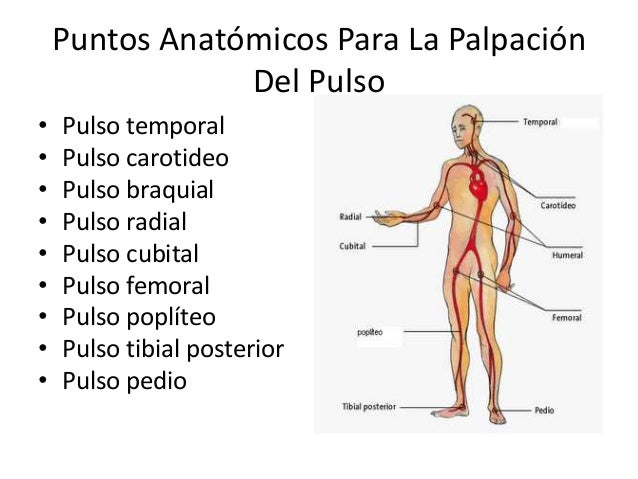 Signos vitales