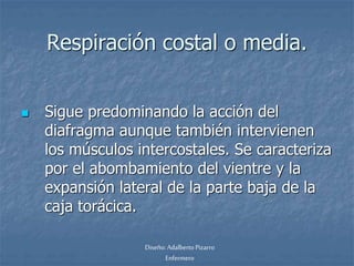 Respiración costal o media. 
 Sigue predominando la acción del 
diafragma aunque también intervienen 
los músculos intercostales. Se caracteriza 
por el abombamiento del vientre y la 
expansión lateral de la parte baja de la 
caja torácica. 
Diseño: Adalberto Pizarro 
Enfermero 
 