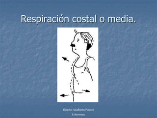 Respiración costal o media. 
Diseño: Adalberto Pizarro 
Enfermero 
 