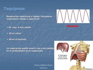 Taquipnea: 
 Respiración superficial y rápida; Frecuencia 
respiratoria rápida y superficial 
 >20 resp. X min adulto 
 > 30 en niños 
 > 50 en el lactante. 
 La respiración puede ocurrir con o sin cambio 
en la profundidad de la respiración. 
Taquipnea 
Diseño: Adalberto Pizarro 
Enfermero 
 