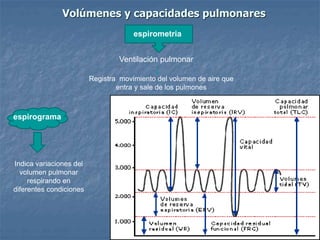 Volúmenes y capacidades pulmonares 
espirometria 
Ventilación pulmonar 
Registra movimiento del volumen de aire que 
entra y sale de los pulmones 
espirograma 
Indica variaciones del 
volumen pulmonar 
respirando en 
diferentes condiciones 
 