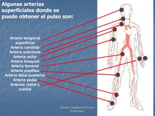 Algunas arterias 
superficiales donde se 
puede obtener el pulso son: 
Diseño: Adalberto Pizarro 
Enfermero 
Arteria temporal 
superficial 
Arteria carótida 
Arteria subclavia 
Arteria axilar 
Arteria braquial 
Arteria femoral 
Arteria poplítea 
Arteria tibial posterior 
Arteria pedia 
Arterias radial y 
cubital 
 