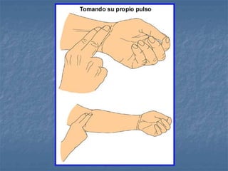 Diseño: Adalberto Pizarro 
Enfermero 
 