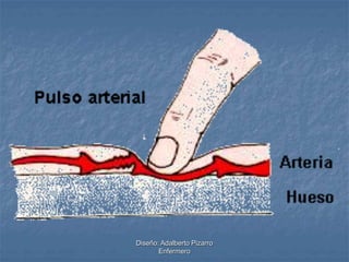 Diseño: Adalberto Pizarro 
Enfermero 
 