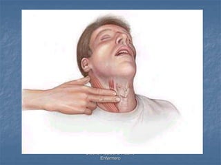 Diseño: Adalberto Pizarro 
Enfermero 
 