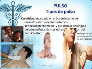 Carotideo: localizado en el borde interno del 
musculo esternocleidomastoideo, 
inmediatamente medial y por debajo del ángulo 
de la mandíbula. Es muy útil para detección del 
Paro Cardíaco. 
Krisnny Melo - Medicina 
 