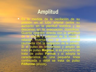 Amplitud
 Es la medida de la oscilación de su
presión en el tubo arterial (entre su
aumento en la plenitud sistólica y su
descenso en la evacuación diastólica).
Guarda relación directa con la amplitud
de la sístole y volumen de la masa y
relación inversa con el tono arterial
(aumenta con la relajación de la pared).
Si el pulso es voluminoso y amplio se
trata de pulso Magnus, si es pequeño se
trata de pulso Parvus y si adopta la
característica de una pequeña línea
continuada y débil se trata de pulso
Filiforme (shock).
 