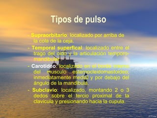 Tipos de pulso
- Supraorbitario: localizado por arriba de
la cola de la ceja.
- Temporal superfical: localizado entre el
trago del oido y la articulación temporo-
mandibular .
- Carotideo: localizado en el borde interno
del musculo esternocleidomastoideo;
inmediatamente medial y por debajo del
ángulo de la mandibula.
- Subclavio: localizado, montando 2 o 3
dedos sobre el tercio proximal de la
clavicula y presionando hacia la cupula.
 