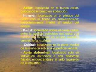 - Axilar: localizado en el hueco axilar,
colocando el brazo en abducción.
- Humeral: localizado en el pliegue del
codo, con el brazo en semiextensión;
inmediatamente medial al tendon del
biceps.
- Radial: localizado sobre el canal radial,
entre la apófisis estiloides del radial y el
tendón del músculo; en el lado medial y
ventral de la muñeca.
- Cubital: localizado en la parte medial
de la muñeca sobre la superficie ventral.
- Aorta abdominal: localizado solo en
individuos asténicos o con abdomen
flácido, encontrándose al lado izquierdo
de la columna.
 