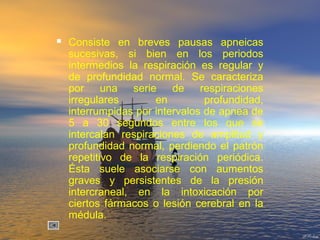  Consiste en breves pausas apneicas
sucesivas, si bien en los periodos
intermedios la respiración es regular y
de profundidad normal. Se caracteriza
por una serie de respiraciones
irregulares en profundidad,
interrumpidas por intervalos de apnea de
5 a 30 segundos entre los que se
intercalan respiraciones de amplitud y
profundidad normal, perdiendo el patrón
repetitivo de la respiración periódica.
Ésta suele asociarse con aumentos
graves y persistentes de la presión
intercraneal, en la intoxicación por
ciertos fármacos o lesión cerebral en la
médula.
 