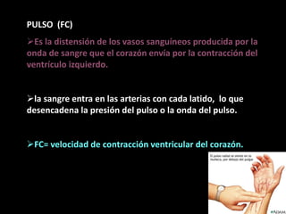 PULSO (FC)
Es la distensión de los vasos sanguíneos producida por la
onda de sangre que el corazón envía por la contracción del
ventrículo izquierdo.
la sangre entra en las arterias con cada latido, lo que
desencadena la presión del pulso o la onda del pulso.
FC= velocidad de contracción ventricular del corazón.
 