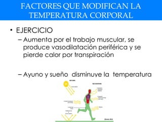 FACTORES QUE MODIFICAN LA
TEMPERATURA CORPORAL
• EJERCICIO
– Aumenta por el trabajo muscular, se
produce vasodilatación periférica y se
pierde calor por transpiración
– Ayuno y sueño disminuye la temperatura
 