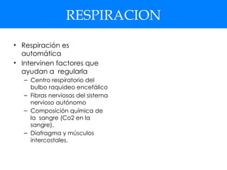 RESPIRACION
• Respiración es
automática
• Intervinen factores que
ayudan a regularla
– Centro respiratorio del
bulbo raquideo encefálico
– Fibras nerviosas del sistema
nervioso autónomo
– Composición química de
la sangre (Co2 en la
sangre).
– Diafragma y músculos
intercostales.
 