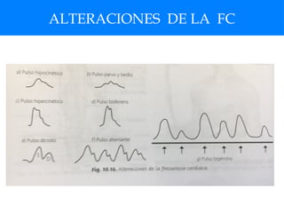 ALTERACIONES DE LA FC
 