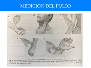 MEDICION DEL PULSO
 