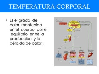 TEMPERATURA CORPORAL
• Es el grado de
calor mantenido
en el cuerpo por el
equilibrio entre la
producción y la
pérdida de calor .
 