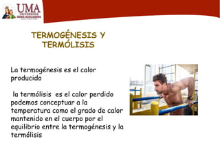 TERMOGÉNESIS Y
TERMÓLISIS
La termogénesis es el calor
producido
la termólisis es el calor perdido
podemos conceptuar a la
temperatura como el grado de calor
mantenido en el cuerpo por el
equilibrio entre la termogénesis y la
termólisis
 