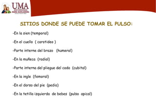 SITIOS DONDE SE PUEDE TOMAR EL PULSO:
-En la sien (temporal)
-En el cuello ( carotideo )
-Parte interne del brazo (humeral)
-En la muñeca (radial)
-Parte interna del pliegue del codo (cubital)
-En la ingle (femoral)
-En el dorso del pie (pedio)
-En la tetilla izquierda de bebes (pulso apical)
 