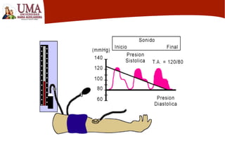 signos vitales1.pptx
