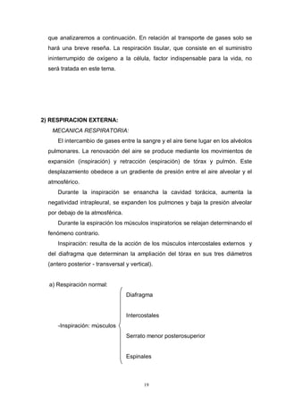 19
que analizaremos a continuación. En relación al transporte de gases solo se
hará una breve reseña. La respiración tisular, que consiste en el suministro
ininterrumpido de oxígeno a la célula, factor indispensable para la vida, no
será tratada en este tema.
2) RESPIRACION EXTERNA:
MECANICA RESPIRATORIA:
El intercambio de gases entre la sangre y el aire tiene lugar en los alvéolos
pulmonares. La renovación del aire se produce mediante los movimientos de
expansión (inspiración) y retracción (espiración) de tórax y pulmón. Este
desplazamiento obedece a un gradiente de presión entre el aire alveolar y el
atmosférico.
Durante la inspiración se ensancha la cavidad torácica, aumenta la
negatividad intrapleural, se expanden los pulmones y baja la presión alveolar
por debajo de la atmosférica.
Durante la espiración los músculos inspiratorios se relajan determinando el
fenómeno contrario.
Inspiración: resulta de la acción de los músculos intercostales externos y
del diafragma que determinan la ampliación del tórax en sus tres diámetros
(antero posterior - transversal y vertical).
a) Respiración normal:
Diafragma
Intercostales
-Inspiración: músculos
Serrato menor posterosuperior
Espinales
 