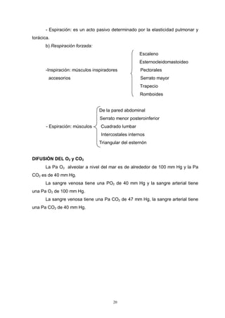 20
- Espiración: es un acto pasivo determinado por la elasticidad pulmonar y
torácica.
b) Respiración forzada:
Escaleno
Esternocleidomastoideo
-Inspiración: músculos inspiradores Pectorales
accesorios Serrato mayor
Trapecio
Romboides
De la pared abdominal
Serrato menor posteroinferior
- Espiración: músculos Cuadrado lumbar
Intercostales internos
Triangular del esternón
DIFUSIÓN DEL O2 y CO2
La Pa O2 alveolar a nivel del mar es de alrededor de 100 mm Hg y la Pa
CO2 es de 40 mm Hg.
La sangre venosa tiene una PO2 de 40 mm Hg y la sangre arterial tiene
una Pa O2 de 100 mm Hg.
La sangre venosa tiene una Pa CO2 de 47 mm Hg, la sangre arterial tiene
una Pa CO2 de 40 mm Hg.
 