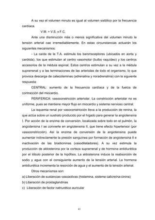 41
A su vez el volumen minuto es igual al volumen sistólico por la frecuencia
cardíaca.
V.M. = V.S. x F.C.
Ante una disminución más o menos significativa del volumen minuto la
tensión arterial cae irremediablemente. En estas circunstancias actuarán los
siguientes mecanismos:
- La caída de la T.A. estimula los barorreceptores (ubicados en aorta y
carótida), los que estimulan al centro vasomotor (bulbo raquídeo) y los centros
accesorios de la médula espinal. Estos centros estimulan a su vez a la médula
suprarrenal y a las terminaciones de las arteriolas de todo el organismo, lo que
provoca descarga de catecolaminas (adrenalina y noradrenalina) con la siguiente
respuesta:
CENTRAL: aumento de la frecuencia cardíaca y de la fuerza de
contracción del miocardio.
PERIFERICA: vasoconstricción arteriolar. La constricción arteriolar no es
uniforme, pues se mantiene mayor flujo en miocardio y sistema nervioso central.
La isquemia renal por vasoconstricción lleva a la producción de renina, la
que actúa sobre un sustrato producido por el hígado para generar la angiotensina
I. Por acción de la enzima de conversión, localizada sobre todo en el pulmón, la
angiotensina I se convierte en angiotensina II, que tiene efecto hipertensor (por
vasoconstricción). Así la enzima de conversión de la angiotensina puede
aumentar indirectamente la presión sanguínea por formación de angiotensina II e
inactivación de las bradicininas (vasodilatadores). A su vez estimula la
producción de aldosterona por la corteza suprarrenal y de hormona antidiurética
por el lóbulo posterior de la hipófisis. La aldosterona induce la reabsorción de
sodio y agua con el consiguiente aumento de la tensión arterial. La hormona
antidiurética incrementa la resorción de agua y el aumento de la tensión arterial.
Otros mecanismos son:
a) Liberación de sustancias vasoactivas (histamina, sistema calicreína-cinina)
b) Liberación de prostaglandinas
c) Liberación de factor natriurético auricular
 