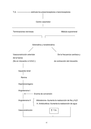 42
T.A. --------------------- estimula los presorreceptores o barorreceptores
Centro vasomotor
Terminaciones nerviosas Médula suprarrenal
Adrenalina y noradrenalina
Vasoconstricción arteriolar De la frecuencia cardíaca y
de la fuerza
(No en miocardio ni S.N.C.) de contracción del miocardio
Isquemia renal
Renina
Hipertensinógeno
Angiotensina I
Enzima de conversión
Angiotensina II Aldosterona- Aumenta la reabsorción de Na y H2O
H. Antidiurética- Aumenta la reabsorción de agua
Vasoconstricción T.A.
 